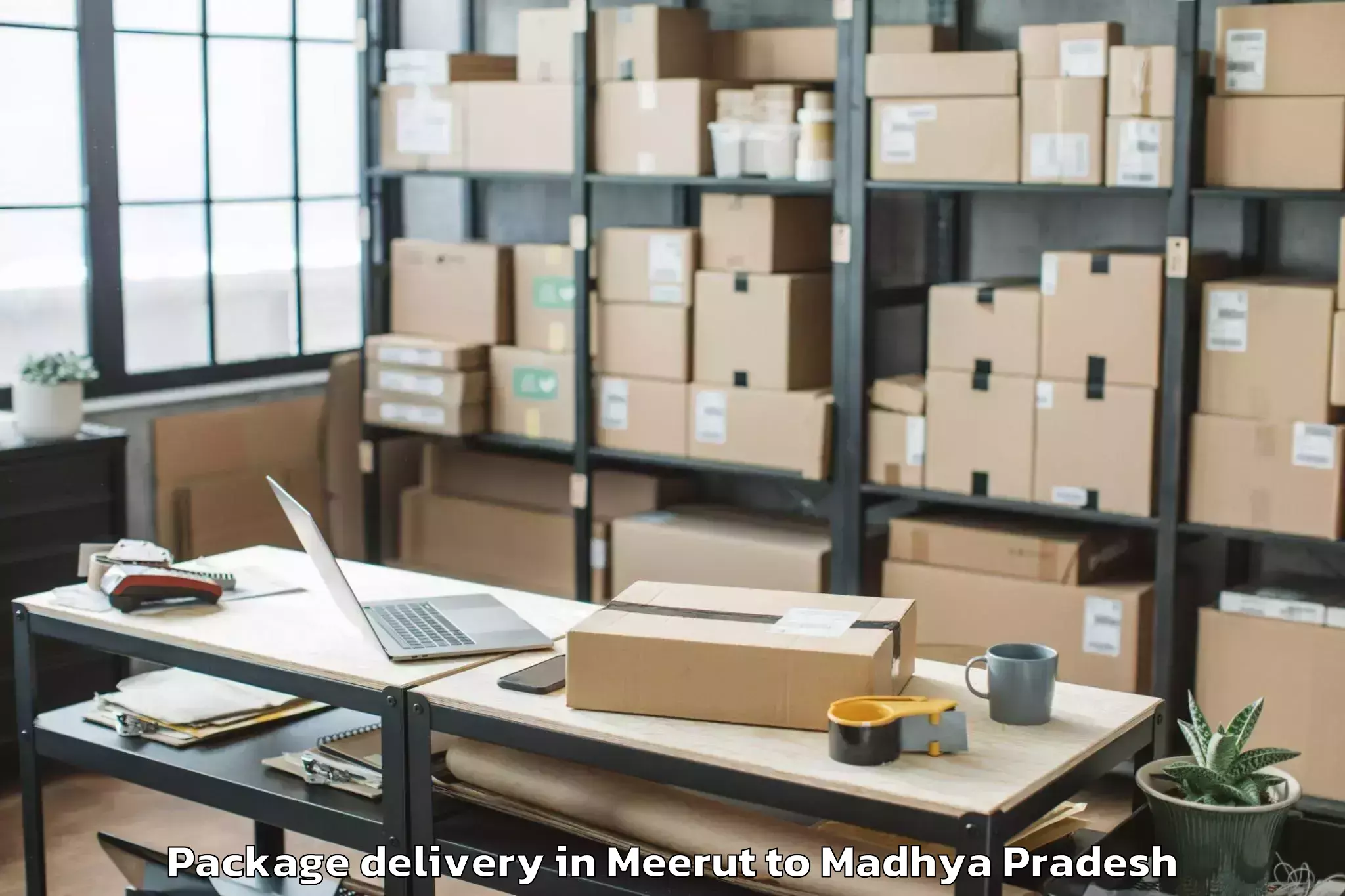 Easy Meerut to Gautampura Package Delivery Booking